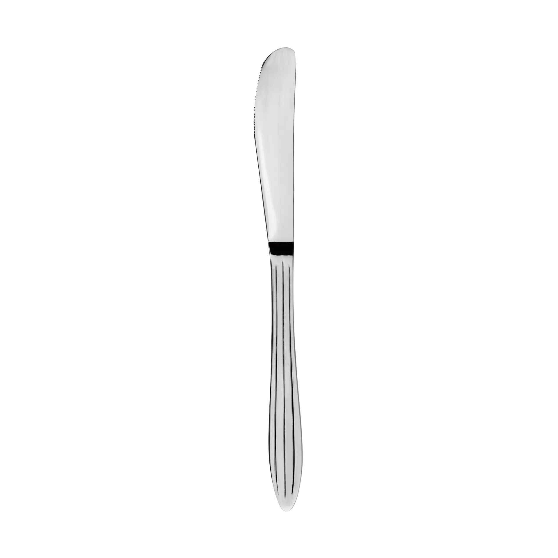 Gastro knife, Stainless steel Aida