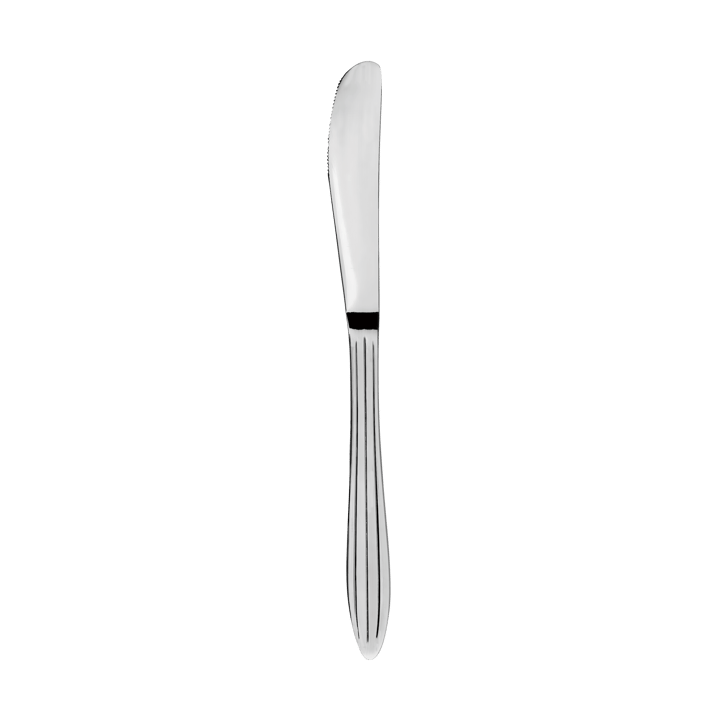 Gastro knife - Stainless steel - Aida
