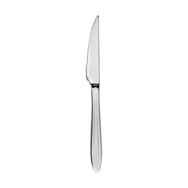 Gastro steak knife - Stainless steel - Aida
