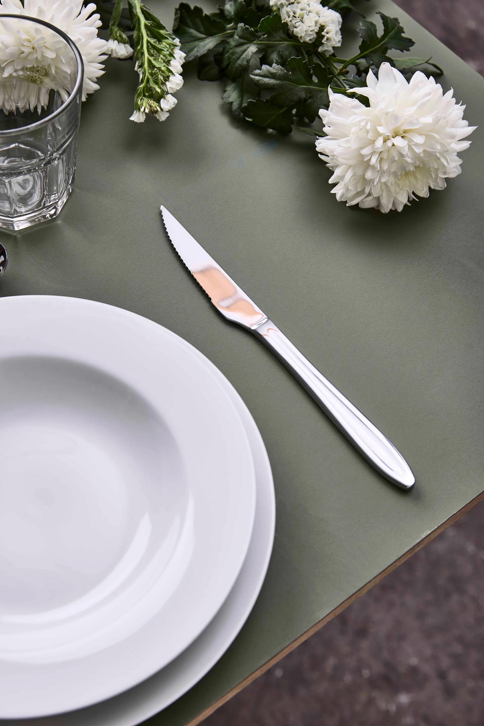 Gastro steak knife, Stainless steel Aida