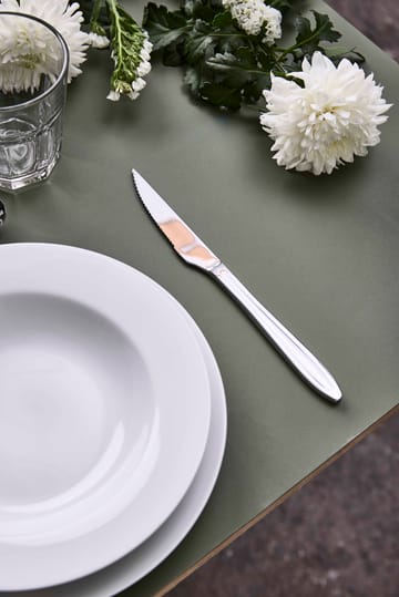 Gastro steak knife - Stainless steel - Aida