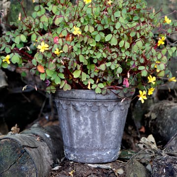 Copenhagen flower pot Ø16 cm - Grey - Bergs Potter