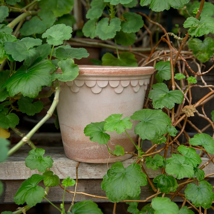 Copenhagen flower pot Ø16 cm, Pink Bergs Potter