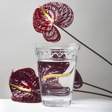 Copenhagen vase 21 cm - Clear - Bergs Potter