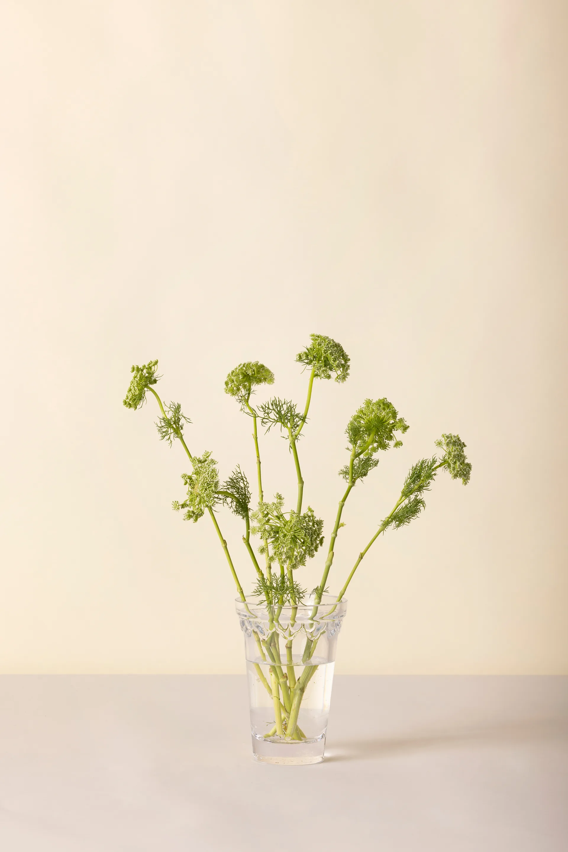 Copenhagen vase, Clear, 18.5 cm Bergs Potter