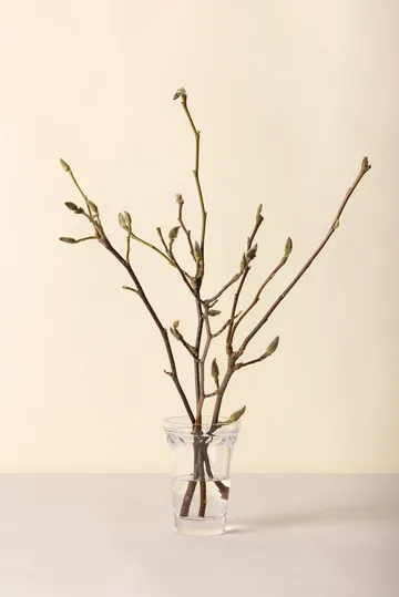 Copenhagen vase - Clear, 18.5 cm - Bergs Potter