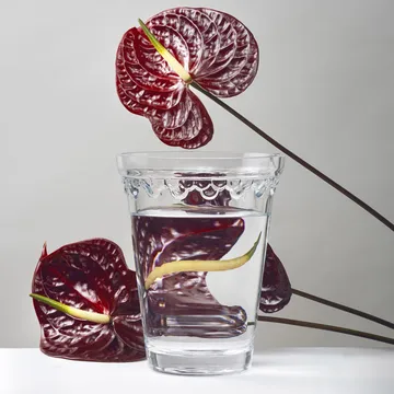 Copenhagen vase - Clear, 21 cm - Bergs Potter