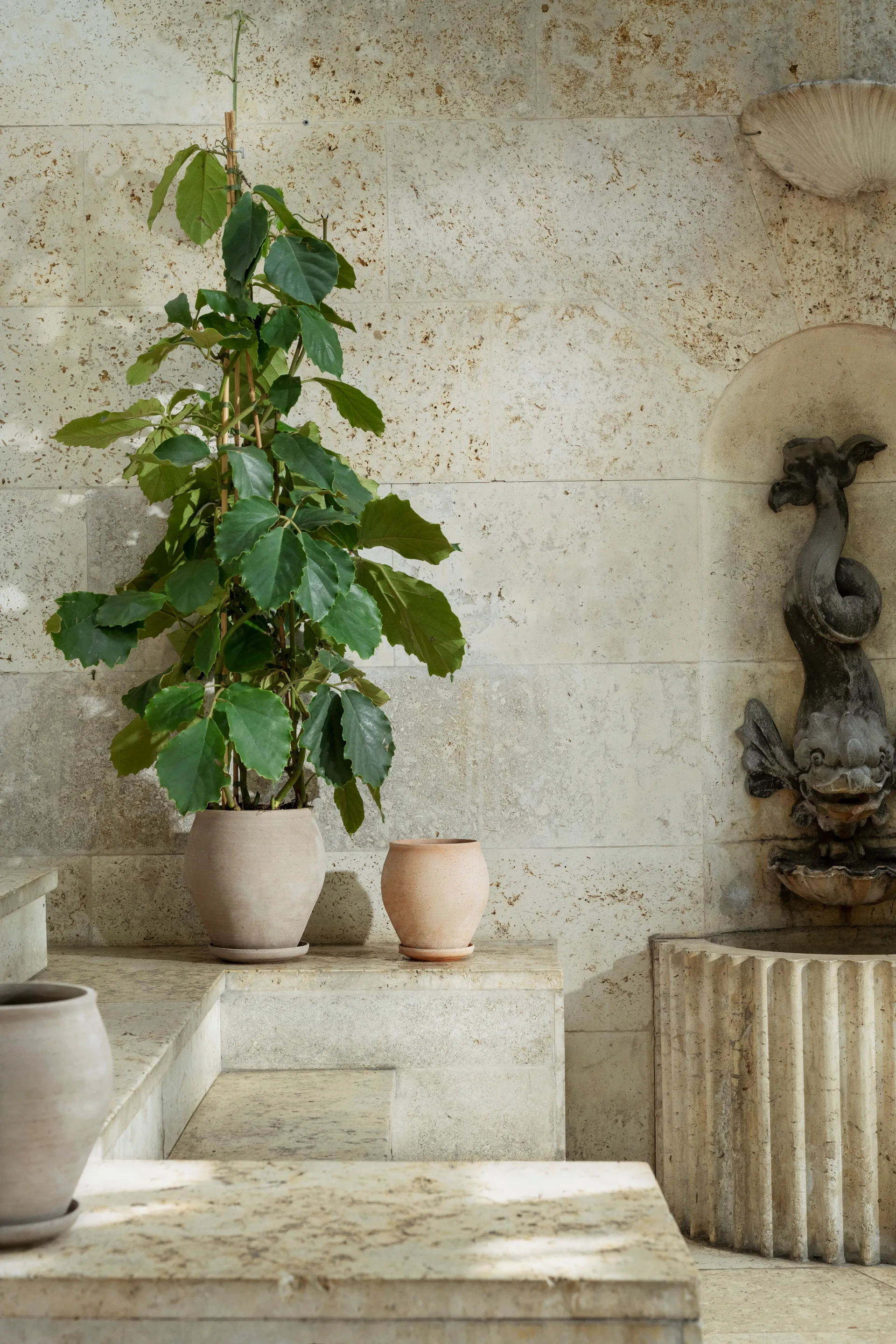 Delphi pot with saucer, 2 pieces, Grey, Ø22 cm, tall Bergs Potter