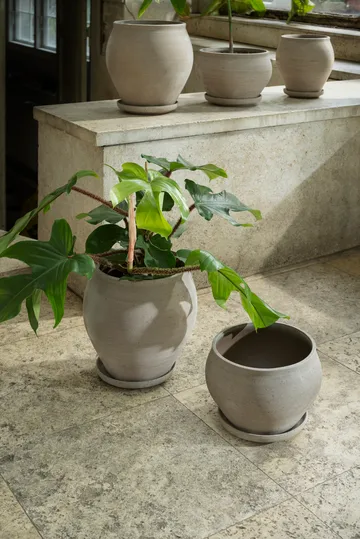 Delphi pot with saucer, 2 pieces - Grey, Ø24 cm, low - Bergs Potter