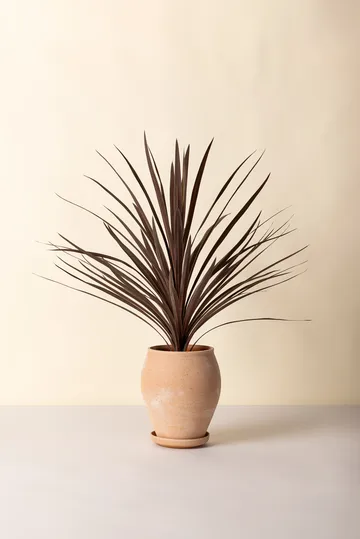 Delphi pot with saucer, 2 pieces - Pink, Ø22 cm, tall - Bergs Potter