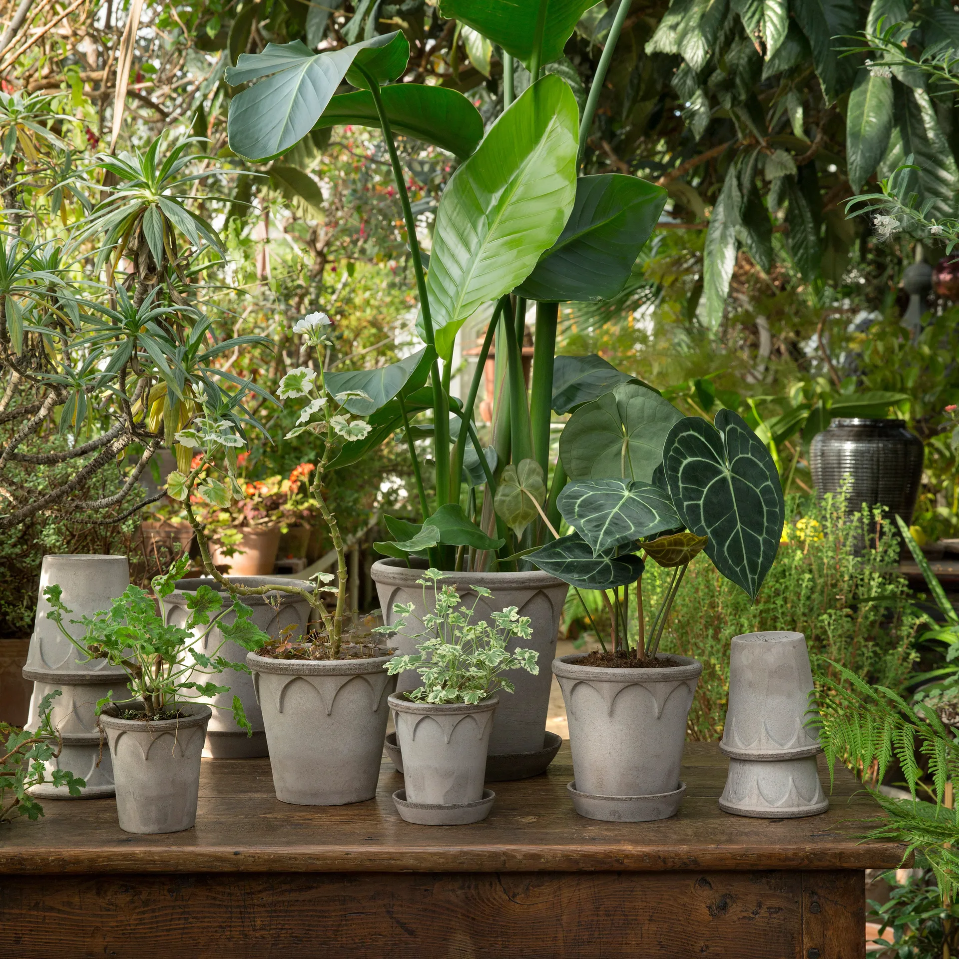 Elizabeth flower pot Ø12 cm, grey Bergs Potter