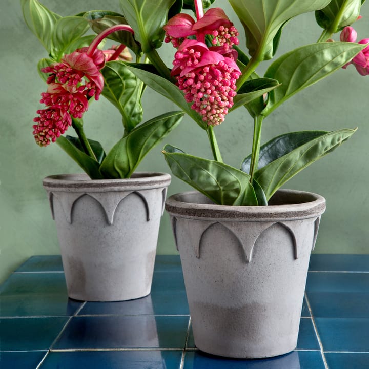 Elizabeth flower pot Ø16 cm, grey Bergs Potter