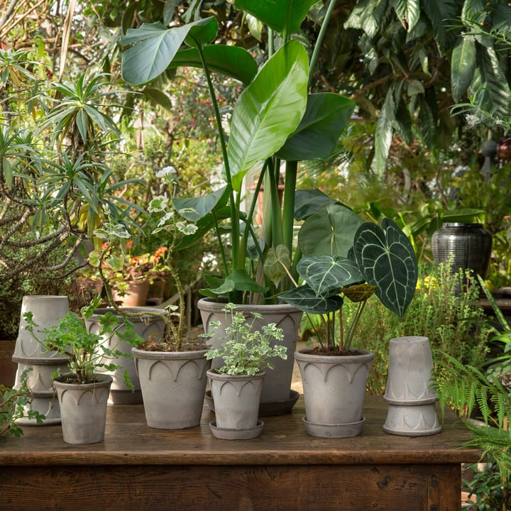 Elizabeth flower pot Ø16 cm, grey Bergs Potter