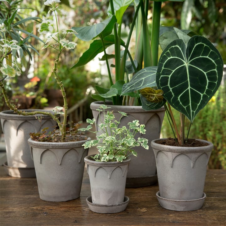 Elizabeth flower pot Ø21 cm, grey Bergs Potter