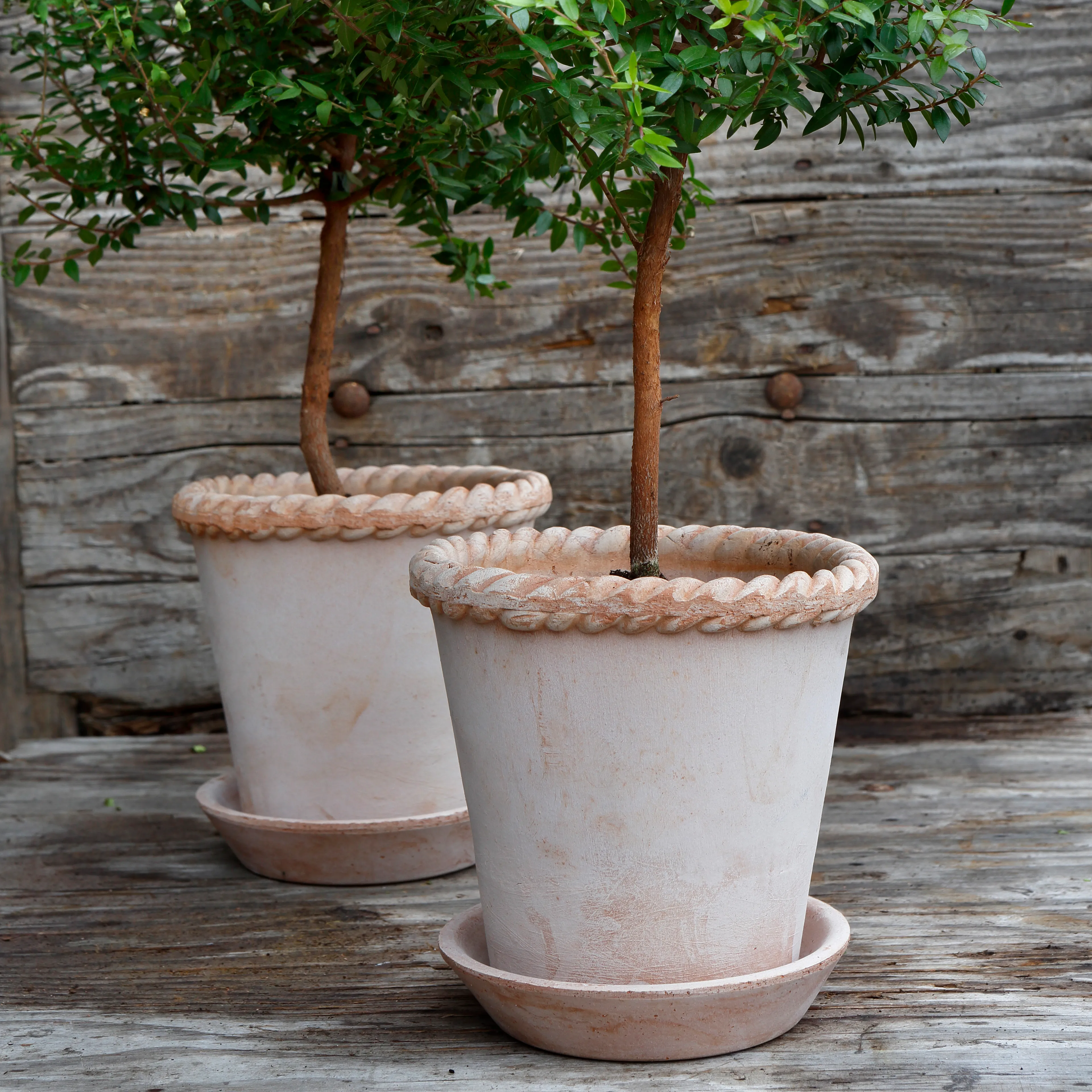 バーグスポッター エミリア16 pink Emilia flower pot Ø21 cm - Bergs