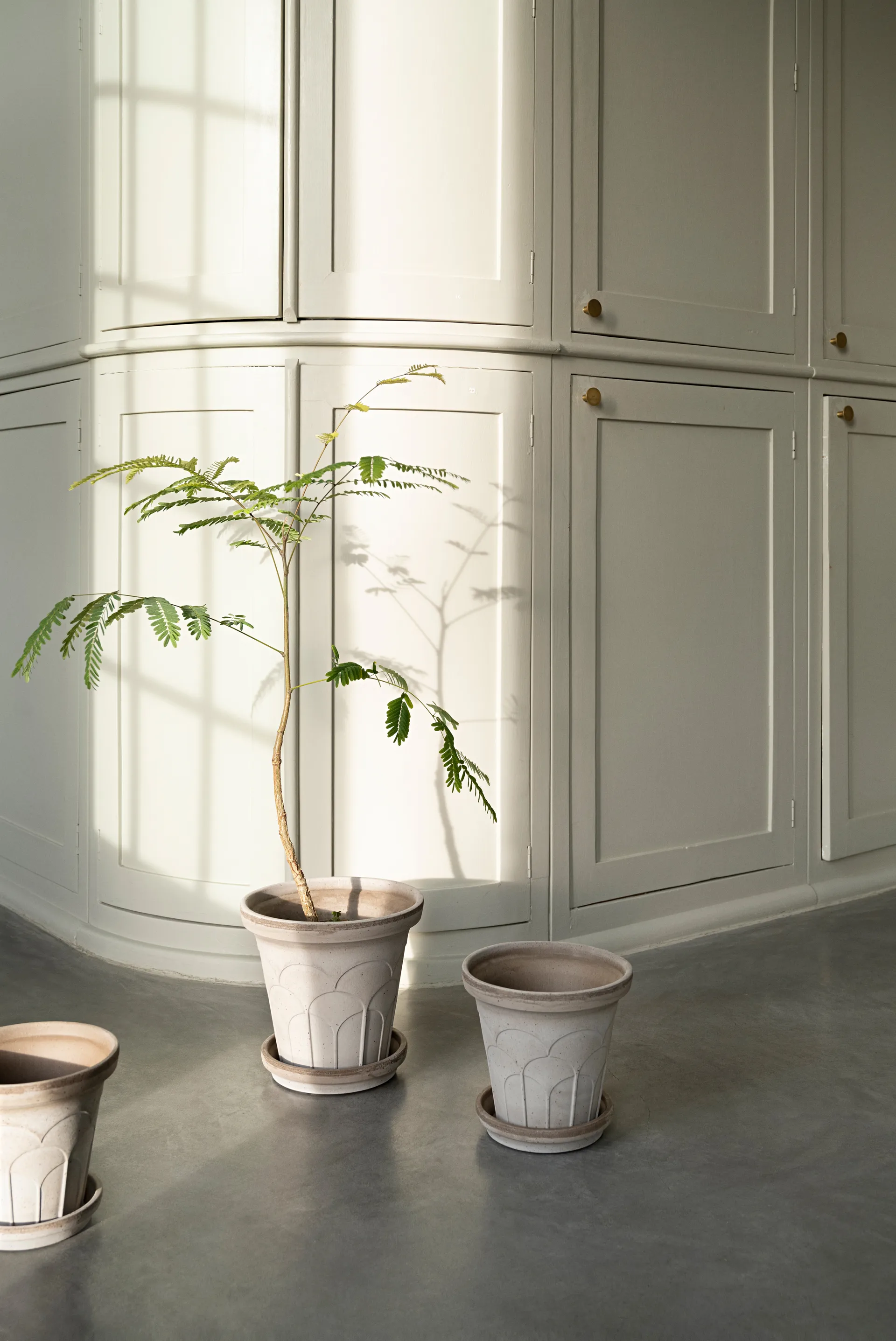 Fleur pot with saucer, 2 pieces, Grey, Ø16 cm Bergs Potter