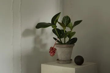 Fleur pot with saucer, 2 pieces - Grey, Ø18 cm - Bergs Potter