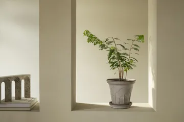 Fleur pot with saucer, 2 pieces - Grey, Ø21 cm - Bergs Potter