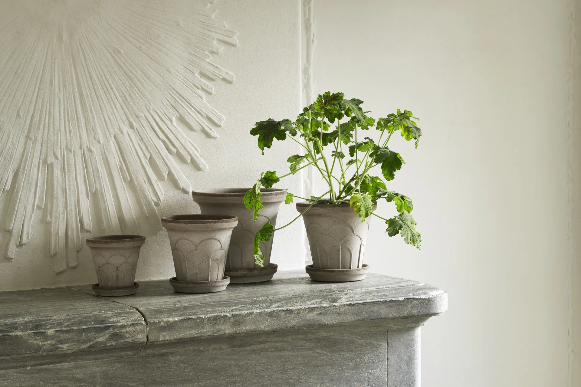 Fleur pot with saucer, 2 pieces, Grey, Ø21 cm Bergs Potter