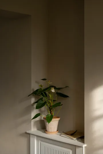 Fleur pot with saucer, 2 pieces - Pink, Ø16 cm - Bergs Potter