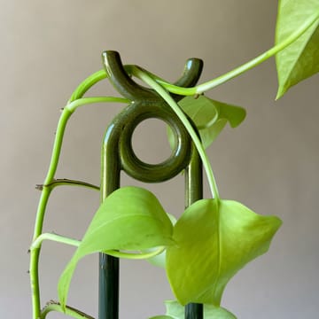Folk Oni plant support - Moss green - Bergs Potter