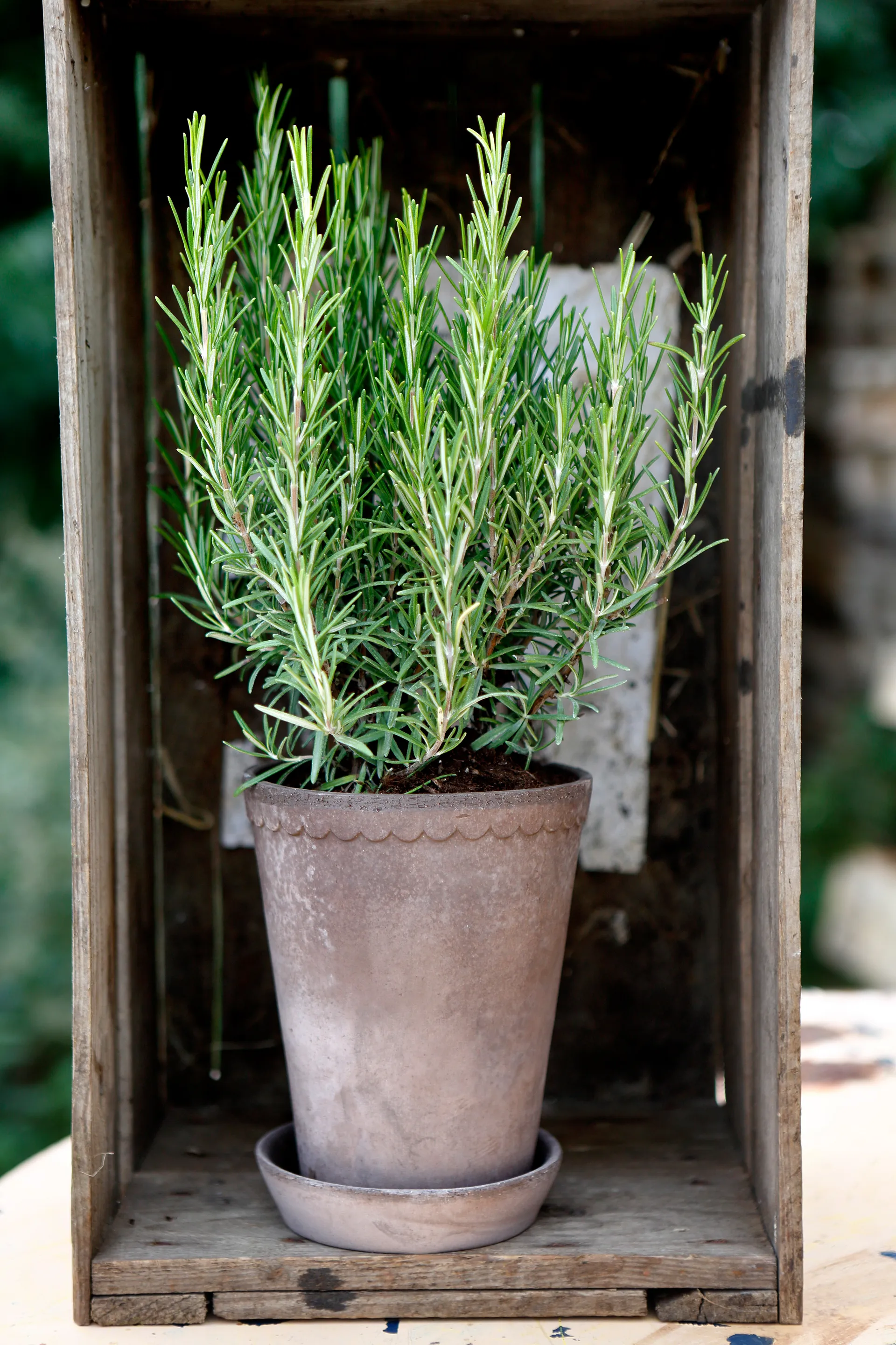 Helena flower pot high Ø14 cm, grey Bergs Potter