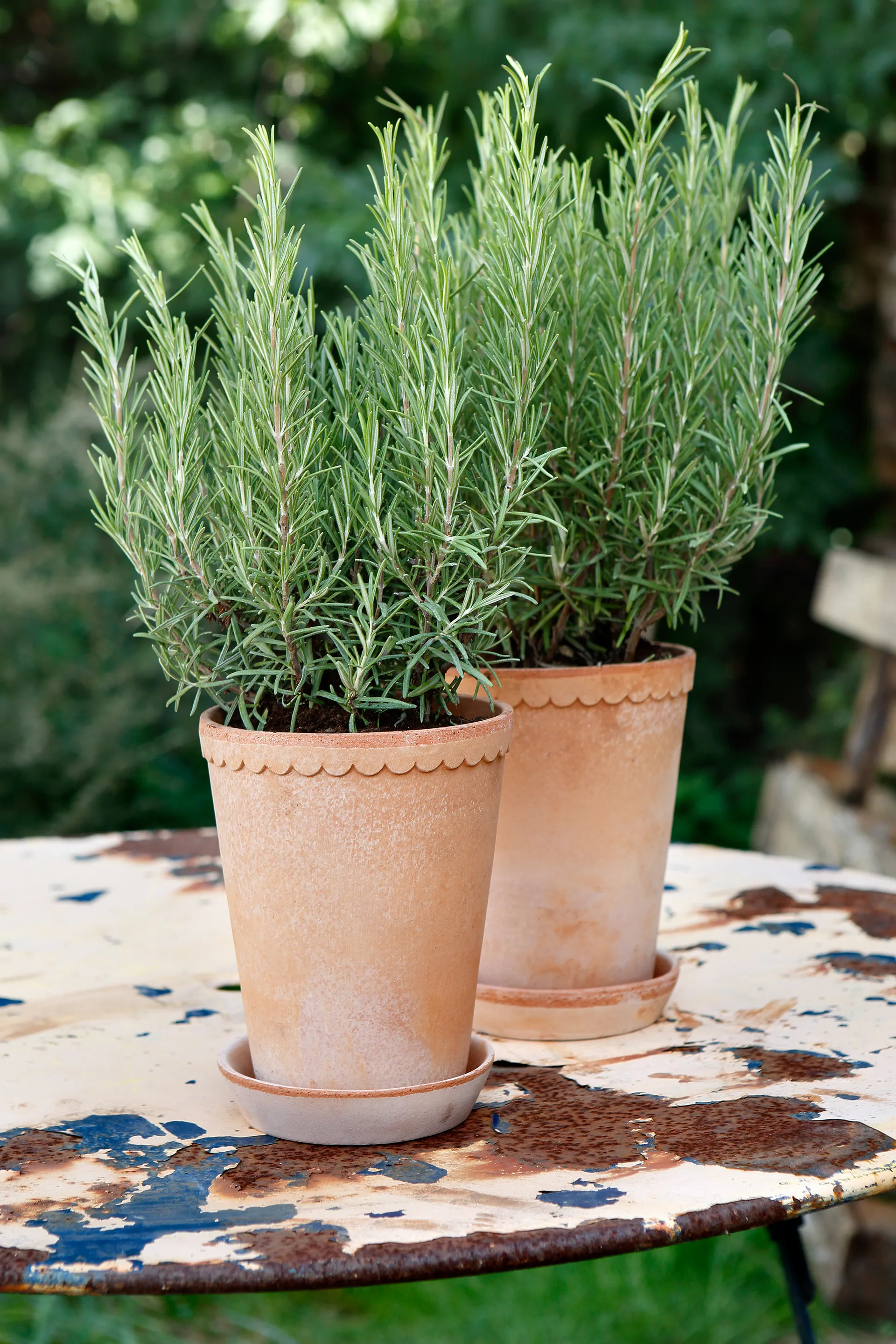 Helena flower pot high Ø14 cm, pink Bergs Potter