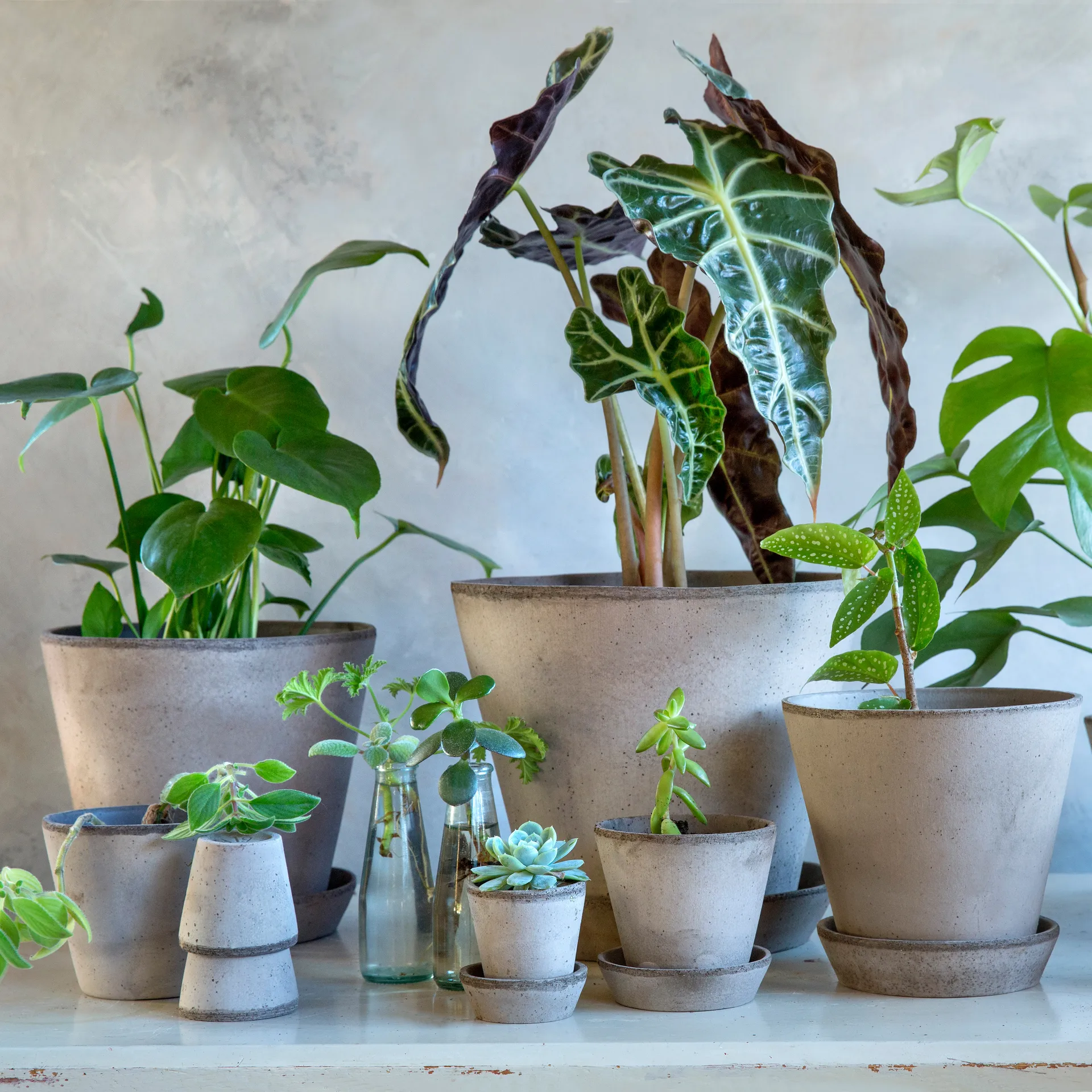 Julie flower pot Ø21 cm, grey Bergs Potter