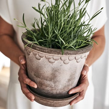 Københavner flower pot 21 cm - Grey - Bergs Potter