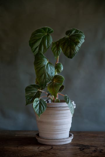 Planet Jupiter flower pot Ø25 cm - grey - Bergs Potter