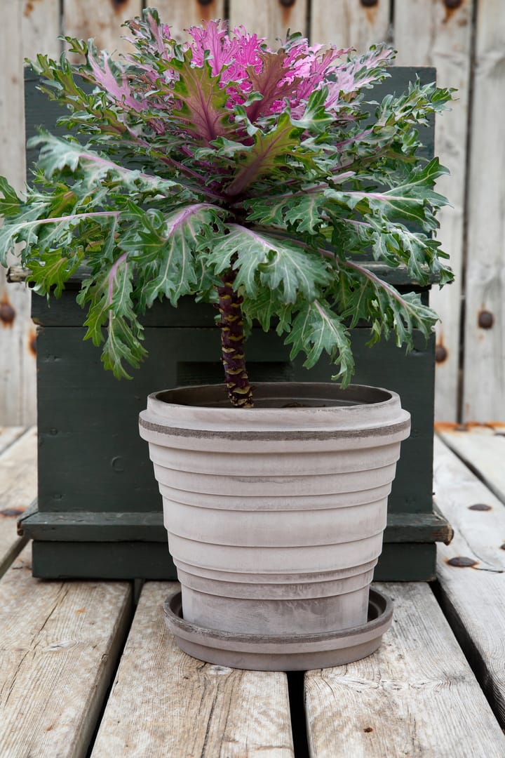 Planet Jupiter flower pot Ø25 cm, grey Bergs Potter