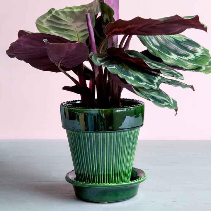 Simona flower pot glazed Ø16 cm, Green Bergs Potter