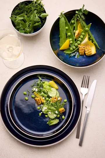 Bitz bowl gastro Ø12 cm - White–dark blue - Bitz