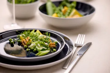 Bitz plate gastro Ø 21 cm - White–dark blue - Bitz