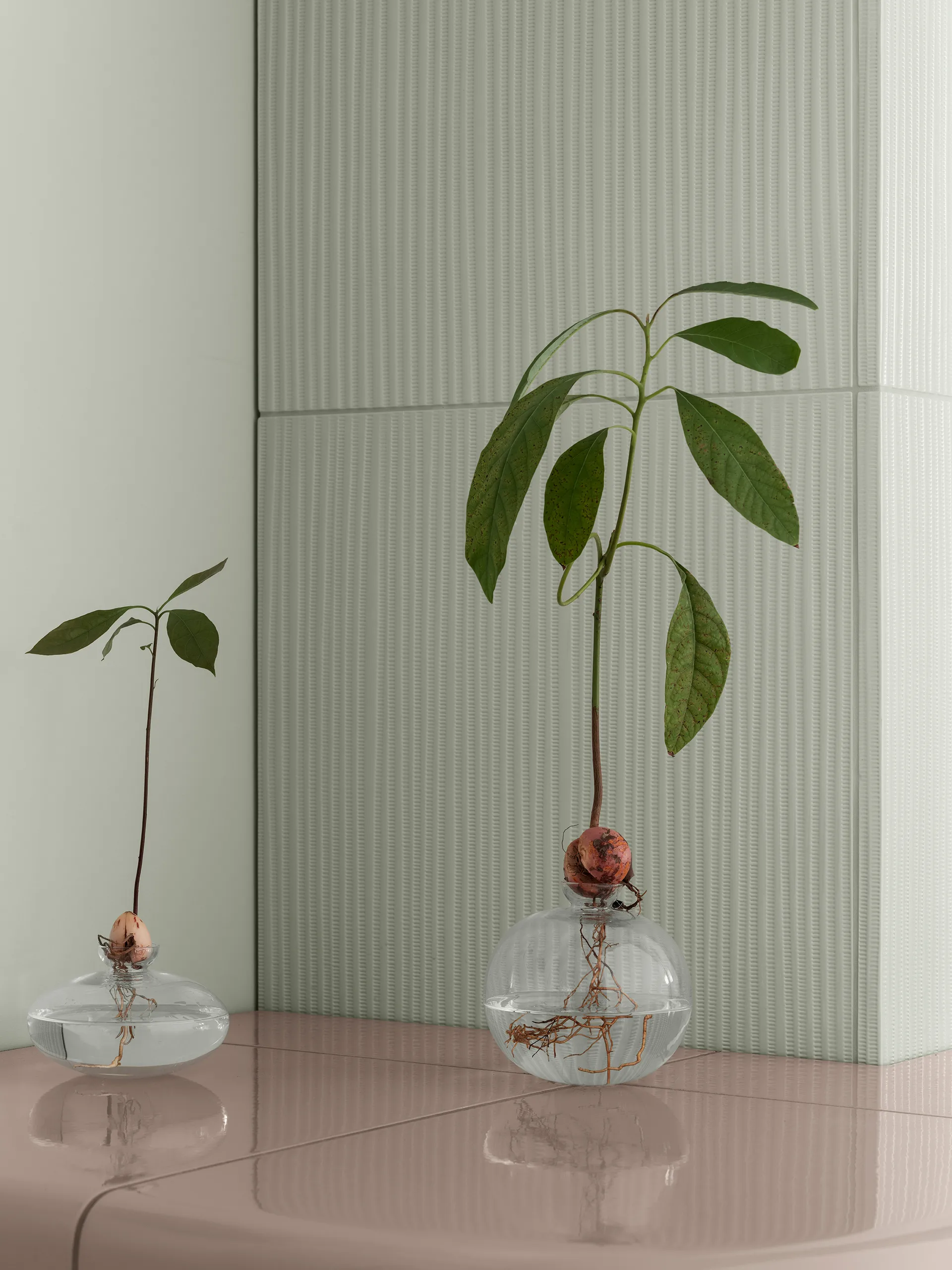 Avo vase 14.5 cm, Clear blomus