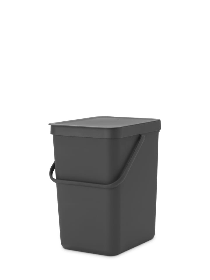 Sort & Go Waste Bin 25 L, Gray Brabantia