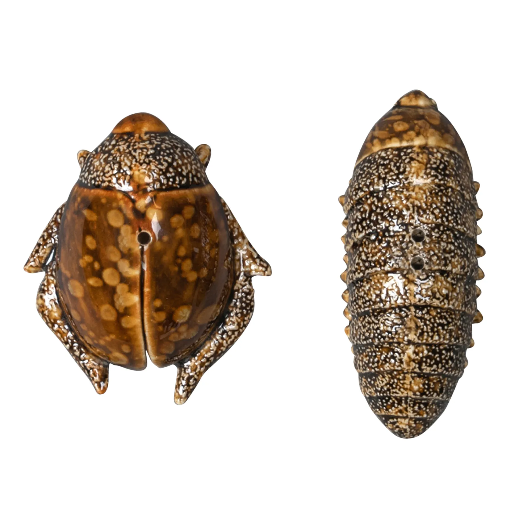 Salt- & pepper shaker beetles, brown Byon