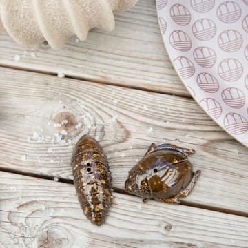 Salt- & pepper shaker beetles - brown - Byon