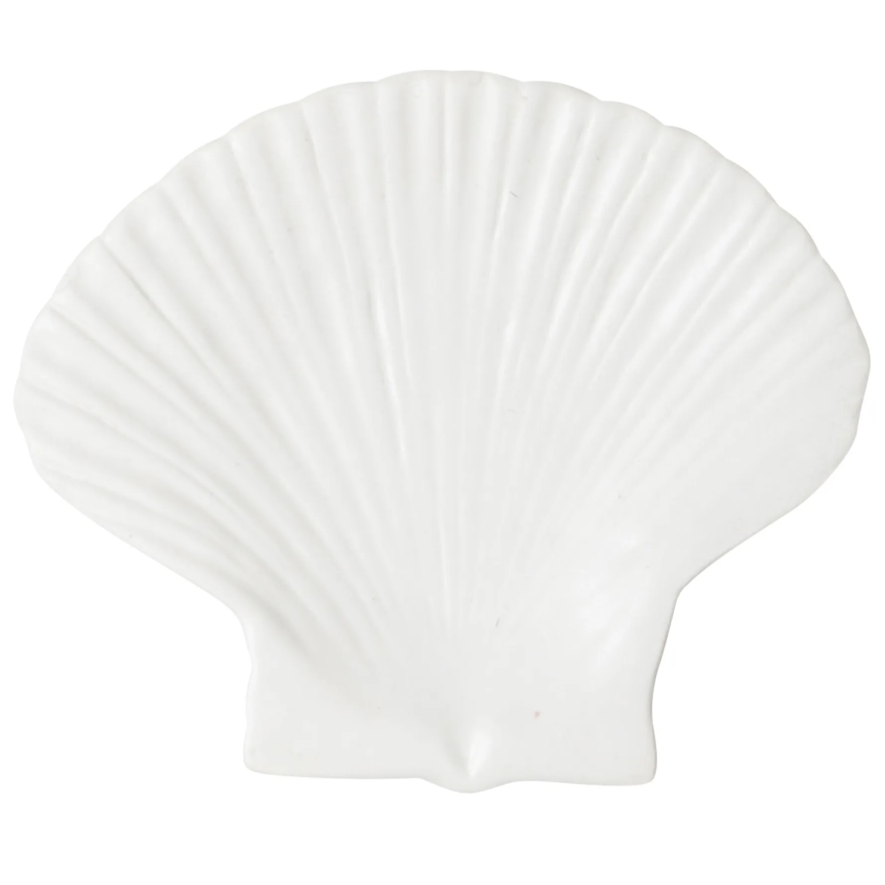 Shell plate, Large Byon