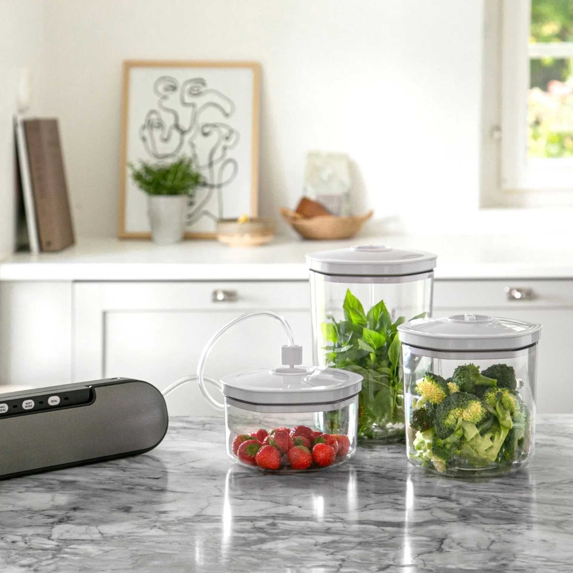 Champion vacuum containers, set of 3, Transparent Champion