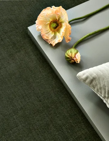 Solid rug - Green, 250x350 cm - Classic Collection