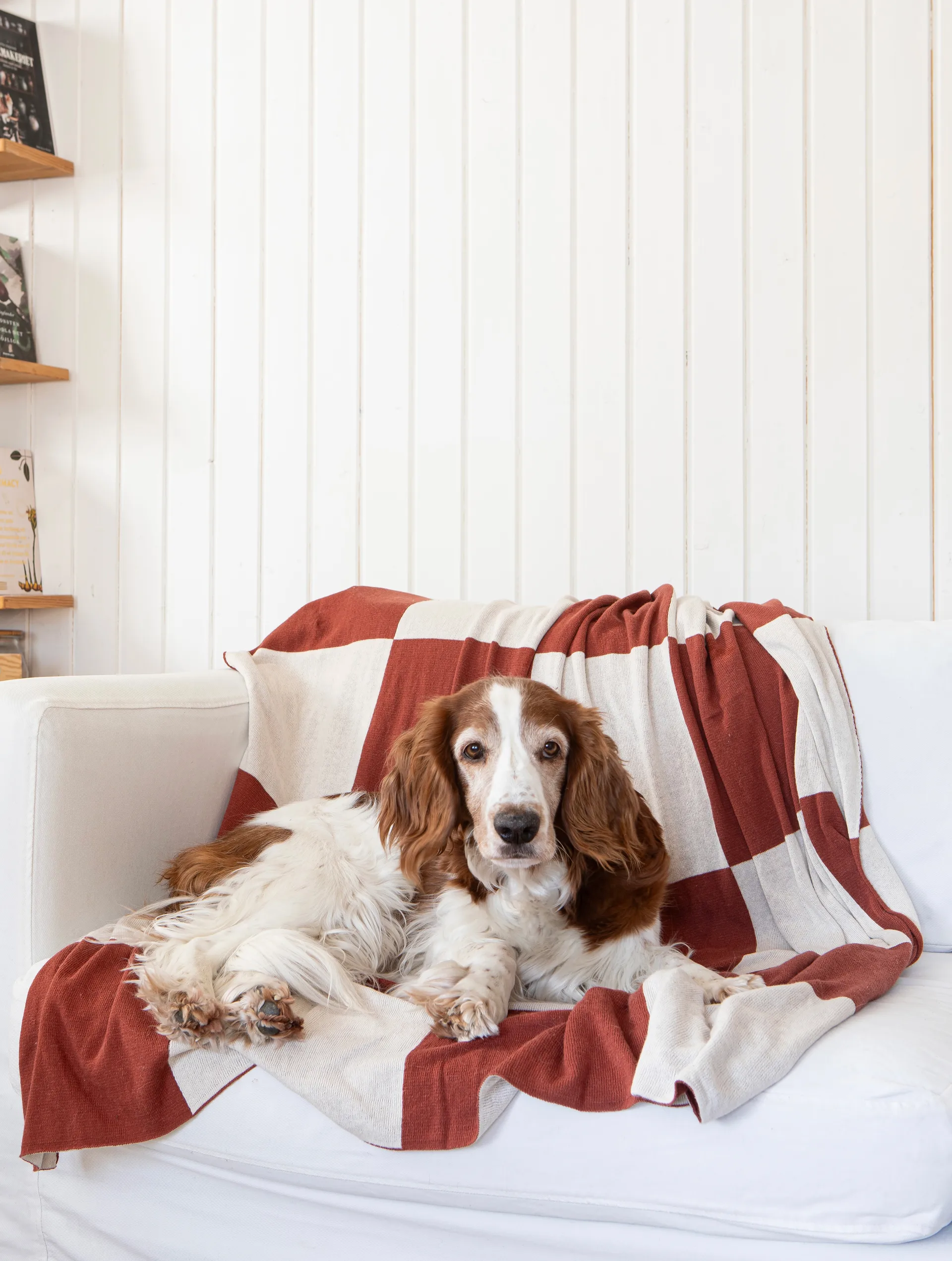 Square throw 130x170 cm, Dark Brown Classic Collection