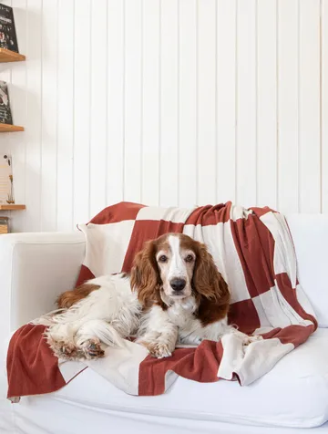 Square throw 130x170 cm - Dark Brown - Classic Collection