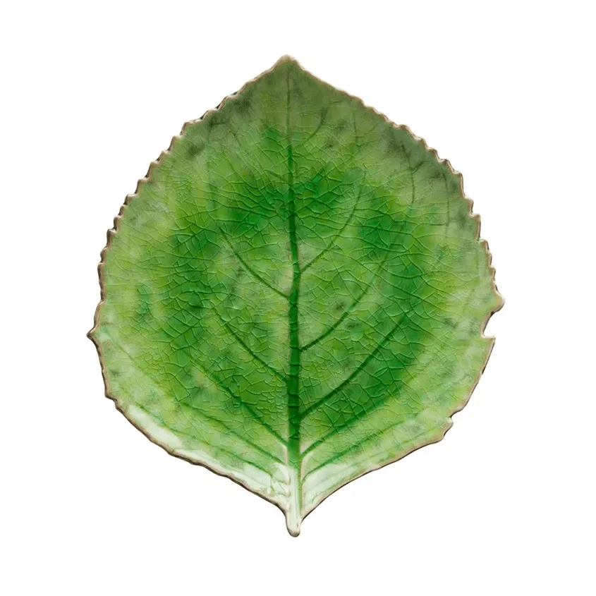 Riviera Hydrangea dish, Tomato, 22 cm Costa Nova