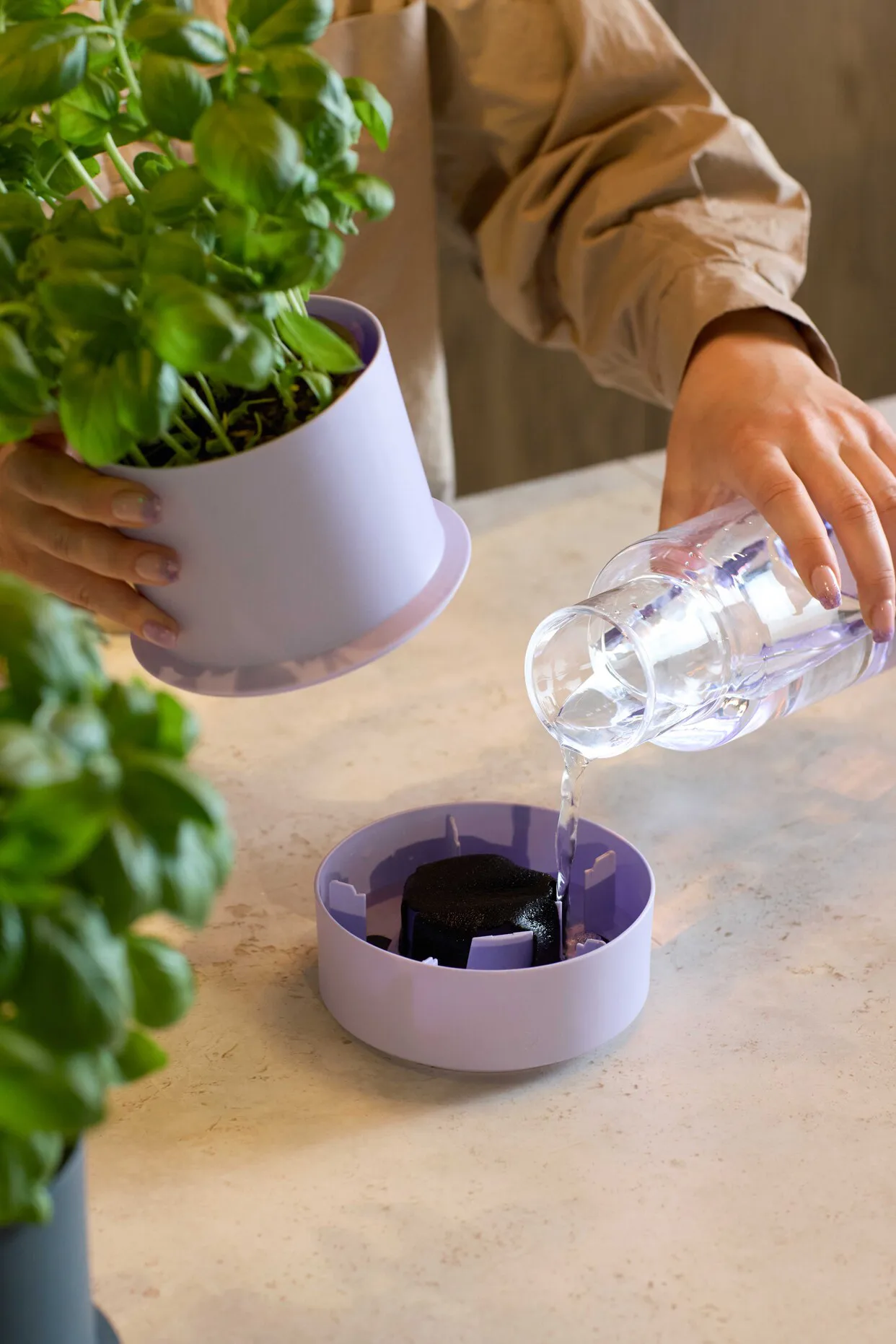 Billund self-watering herb pot, Parsley Crushgrind