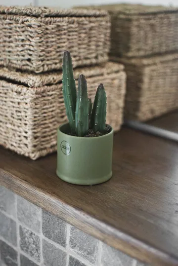 Astillbe pot - Green, small, Ø7x6 cm - DBKD