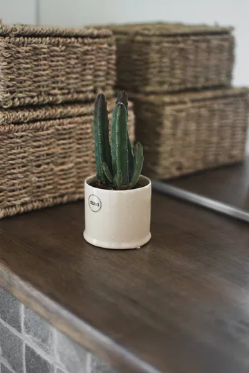 Astillbe pot - Vanilla, small, Ø7x6 cm - DBKD