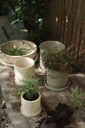 Plant pot small 2-pack - Beige - DBKD