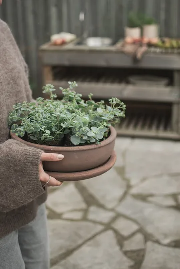 Terra bowl planter - Brown, Ø30x10.5 cm - DBKD