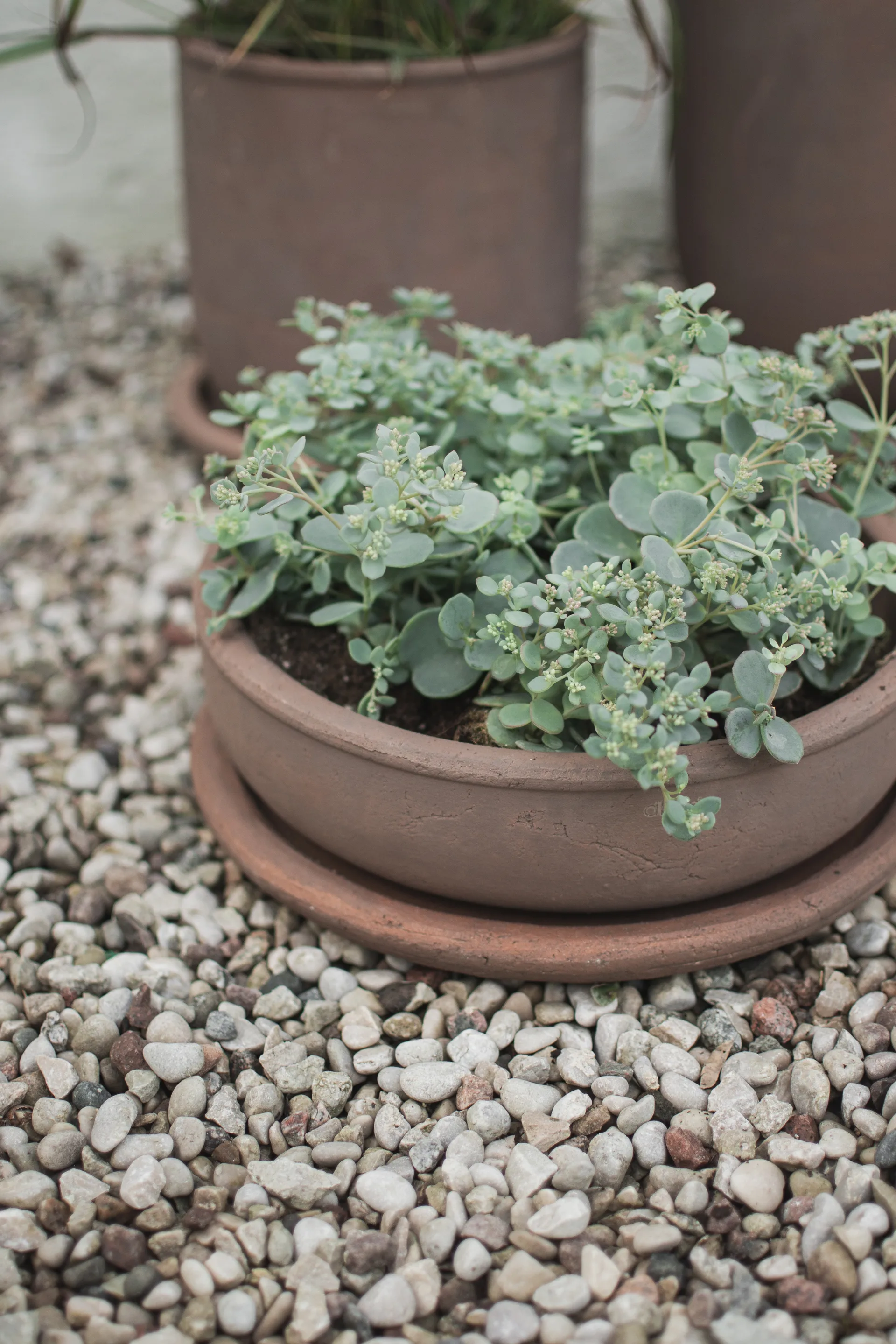 Terra bowl planter, Brown, Ø30x10.5 cm DBKD